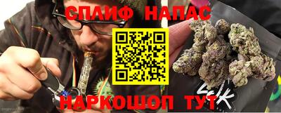 спиды Дубна