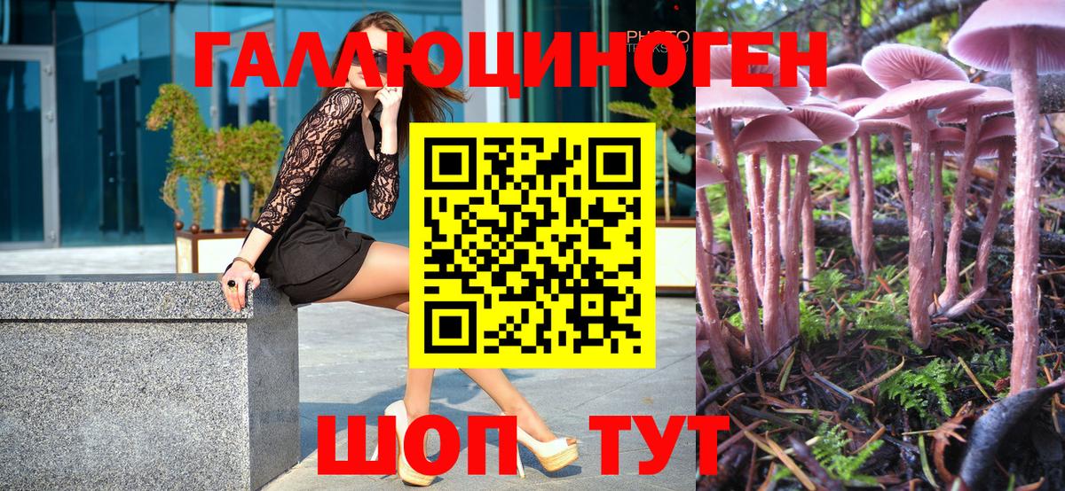 Псилоцибиновые грибы Psilocybe Лыткарино