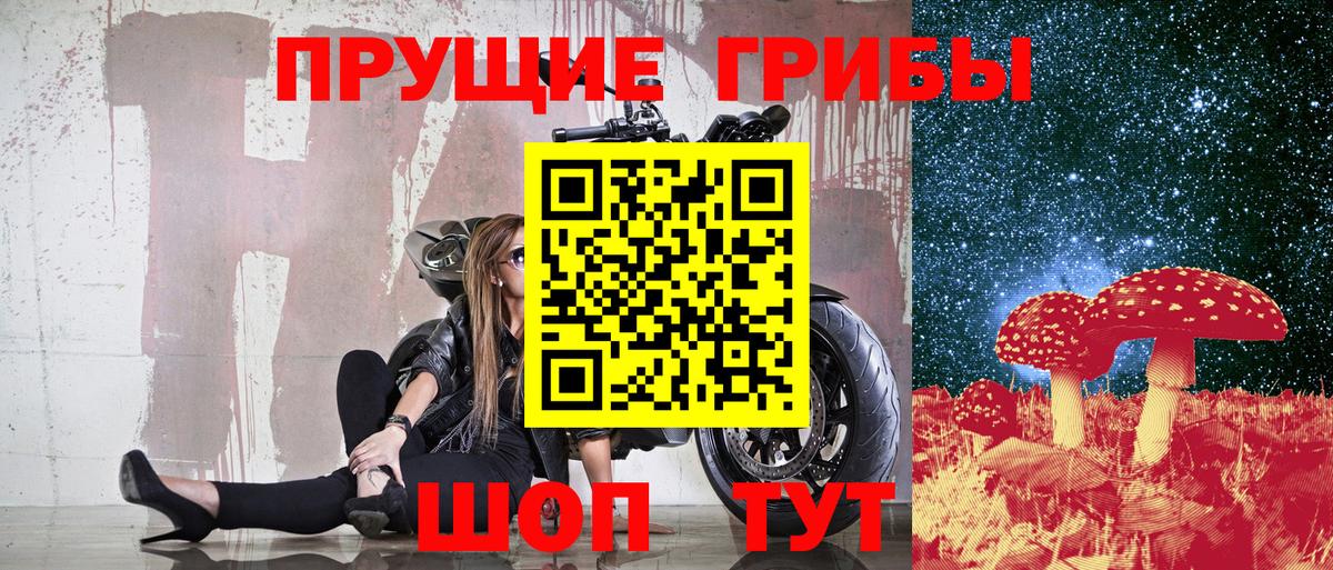 Лыткарино  Псилоцибиновые грибы Cubensis  Вход с VPN 